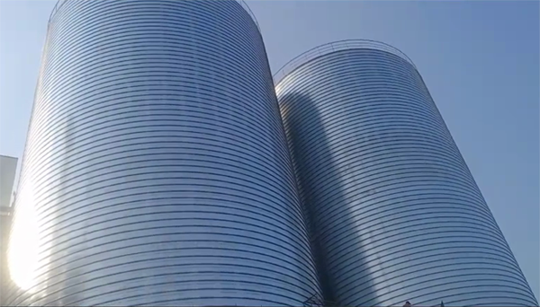 鸡冠2座混凝土高架卷板仓